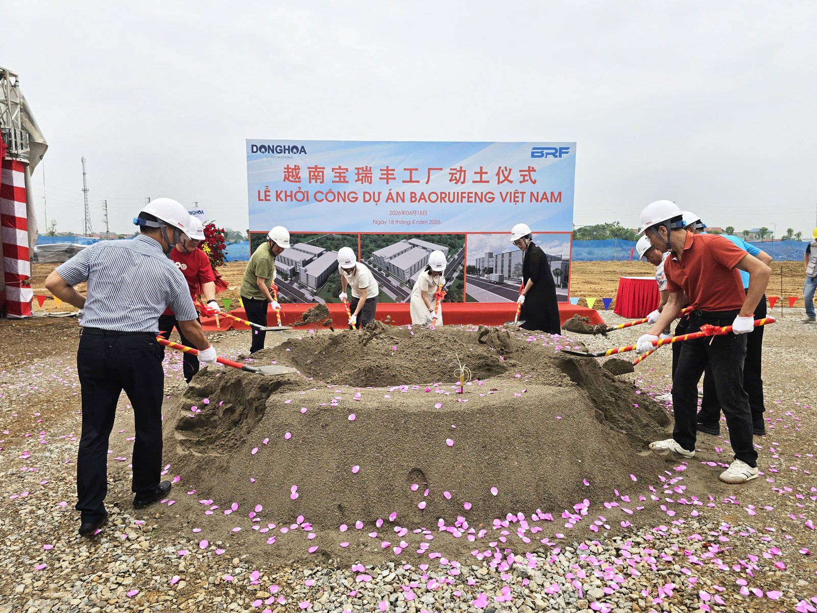 Hình ảnh dự án