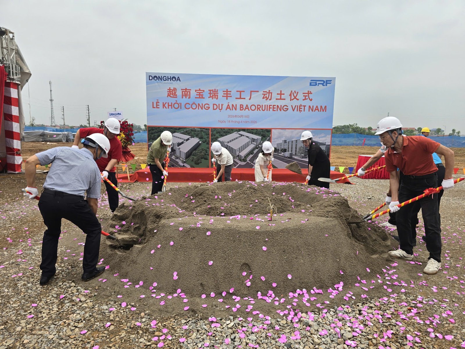 Hình ảnh dự án